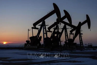 Một giếng dầu ở Liêu Ninh, Trung Quốc. (Ảnh: THX/TTXVN)