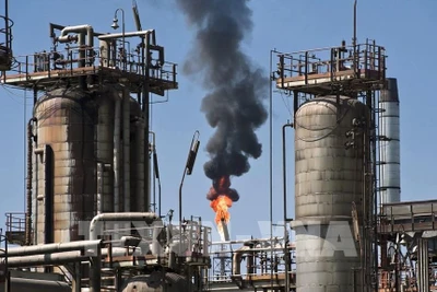 Ảnh minh họa: TTXVN