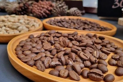 Hợp tác xã cà-phê sạch Măng Đen huyện Kon Plông, tỉnh Kon Tum tạo ra các sản phẩm cà-phê chất lượng cao. (Ảnh: DƯ TOÁN/TTXVN)