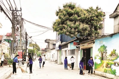 Tuổi trẻ xã Ninh Khang, thành phố Hoa Lư, tỉnh Ninh Bình chung sức xây dựng nông thôn mới.