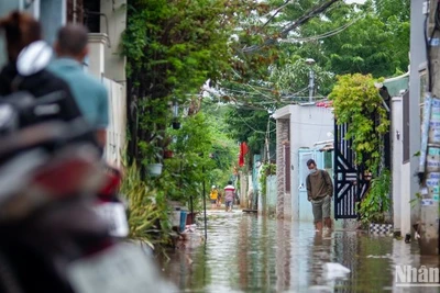 Dù sáng nay trời hửng nắng và tương đối ráo, nhưng nhiều hộ dân khu vực tổ 36 và tổ 37, khu dân cư 8 Đà Sơn vẫn phải chịu cảnh ngập úng và mất điện, gây khó khăn trong sinh hoạt.