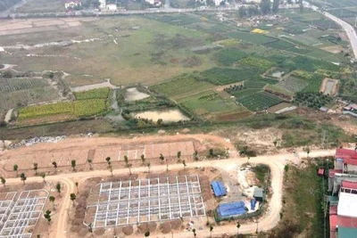 Dự án chậm triển khai.