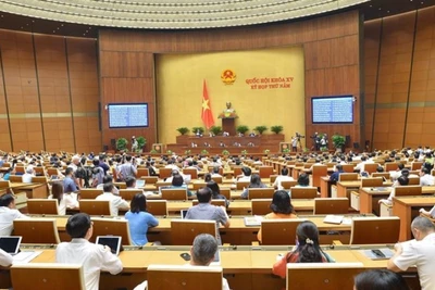 Nới lỏng chính sách tài khóa để kích cầu tiêu dùng, giải quyết bài toán an sinh xã hội và công ăn việc làm là mối quan tâm của nhiều đại biểu Quốc hội. (Ảnh: quochoi.vn)