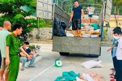 Lực lượng chức năng Lào Cai bắt giữ hơn 3 tấn thực phẩm "bẩn" nhập lậu. (Ảnh: THANH TUẤN)