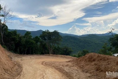 Tuyến đường công vụ được giải phóng để tiếp cận thi công đoạn cao tốc Quảng Ngãi-Hoài Nhơn.