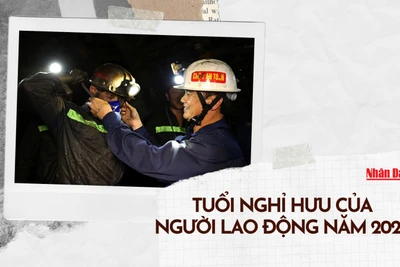 [Infographic] Tuổi nghỉ hưu của người lao động trong năm 2024