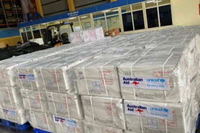 Vaccine được phân bổ về các địa phương.