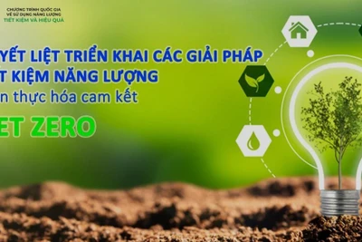 Quyết liệt triển khai các giải pháp tiết kiệm năng lượng, hiện thực hóa cam kết Net Zero