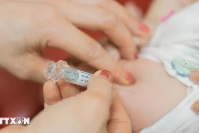 Ảnh minh họa. (Ảnh: Minh Quyết/TTXVN)