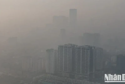 Sáng 3/1, Hà Nội là thành phố có chỉ số ô nhiễm không khí (AQI) cao nhất thế giới, đạt mức trung bình 284 vào 9 giờ 25 phút. Đây là ngưỡng rất không tốt cho sức khỏe con người.