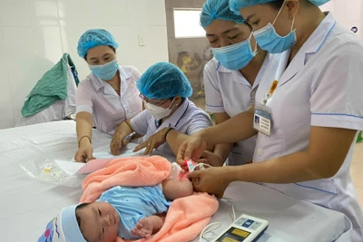 Mức sinh thay thế đang có sự chênh lệch cao giữa các vùng miền.