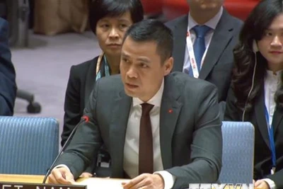 Đại sứ Đặng Hoàng Giang, Trưởng Phái đoàn thường trực Việt Nam tại Liên hợp quốc. (Ảnh: TTXVN phát)