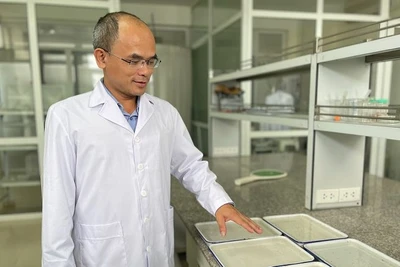 Tiến sĩ, bác sĩ Nguyễn Văn Dũng, Trưởng khoa Côn trùng, Viện Sốt rét-Ký sinh trùng-Côn trùng Trung ương.