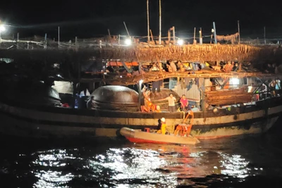 Tàu SAR 412 tiếp cận tàu cá QNa 95078 TS.