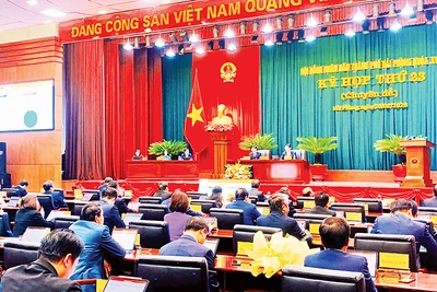 Biểu quyết thông qua nghị quyết thực hiện dự án đầu tư xây dựng tuyến đường sắt Lào Cai-Hà Nội-Hải Phòng.