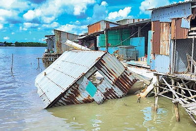 Một vụ sạt lở tại khu vực chợ thị trấn Năm Căn, huyện Năm Căn, tỉnh Cà Mau.