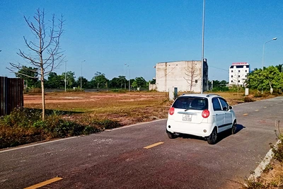 Hầu hết cây xanh được trồng tại khu dân cư Đông Kết, phường Tiên Phong, thành phố Phổ Yên đều chết khô. 