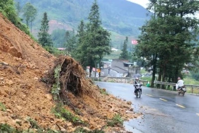 (Ảnh minh họa: TTXVN)