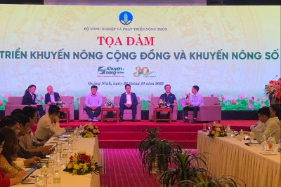 Các đại biểu tham gia tọa đàm.