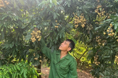 Chính sách tín dụng đóng góp quan trọng trong công cuộc giảm nghèo, bảo đảm an sinh xã hội ở tỉnh Hưng Yên