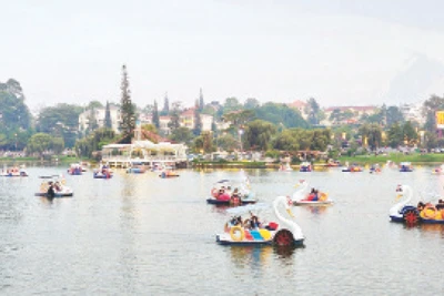 Du khách trải nghiệm tại thành phố Đà Lạt, Lâm Đồng.