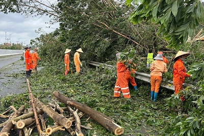 Lực lượng công nhân vận hành, bảo trì khai thác tuyến đường cao tốc Hạ Long-Vân Đồn khắc phục sự cố để sớm thông tuyến, bảo đảm lưu thông.