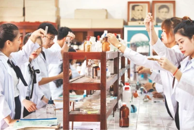 Sinh viên Trường đại học Quy Nhơn nghiên cứu khoa học.