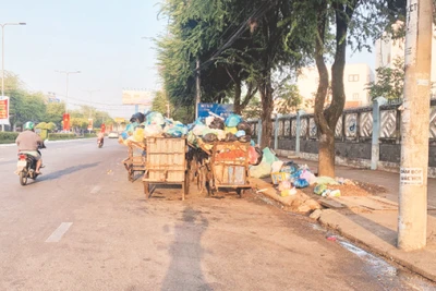 Không chỉ người dân, các đơn vị, doanh nghiệp thu gom, tập kết rác dưới lòng đường 30/4 trước cổng Bệnh viện Y học Cổ truyền (quận Ninh Kiều) gây ô nhiễm môi trường thời gian dài.