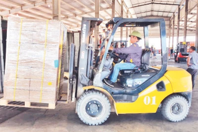 Bốc xếp hàng hóa nhập khẩu tại bãi kiểm hóa cầu Bắc Luân II.