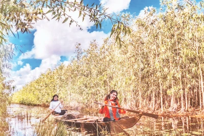 Tiềm năng to lớn về rừng tràm giúp U Minh phát triển mạnh về du lịch sinh thái, du lịch trải nghiệm, du lịch cộng đồng. (Ảnh Huỳnh Lâm)