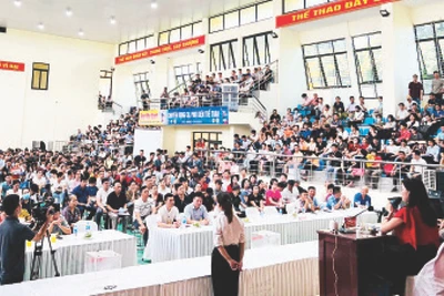 Đấu giá đất tại huyện Thanh Oai (Hà Nội) vào tháng 8/2024 lập “kỷ lục” về giá, số lượng người tham gia và cả số trường hợp bỏ cọc. (Ảnh Mạnh Khánh)