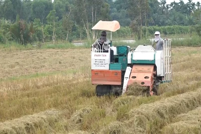 Máy đang thu gom rơm rạ trên đồng.