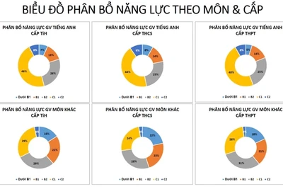 Biểu đồ phân bổ năng lực tiếng Anh theo môn và cấp học.