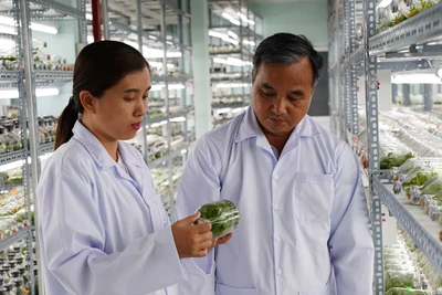 Phòng nuôi cấy mô hoa lan thuộc Khu Nông nghiệp Công nghệ cao Thành phố Hồ Chí Minh.