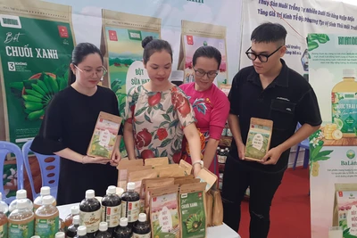 Trưng bày các sản phẩm nông nghiệp hữu cơ tại Lễ phát động.