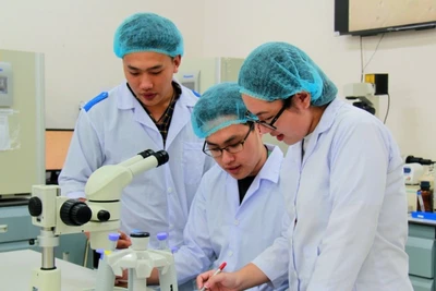 Hoạt động nghiên cứu khoa học tại Đại học Quốc gia Thành phố Hồ Chí Minh.