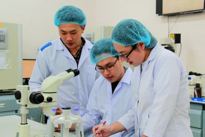 Nghiên cứu khoa học tại Đại học Quốc gia Thành phố Hồ Chí Minh