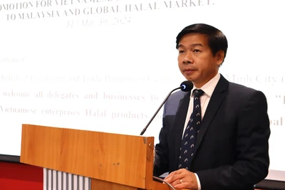 Ông Đào Minh Chánh, Phó Giám đốc Trung tâm Xúc tiến Thương mại và Đầu tư Thành phố Hồ Chí Minh phát biểu tại hội thảo.