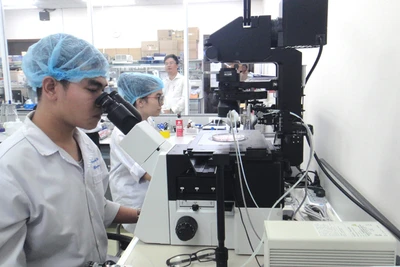 Hoạt động nghiên cứu khoa học tại Trường đại học Quốc tế, Đại học Quốc gia Thành phố Hồ Chí Minh.