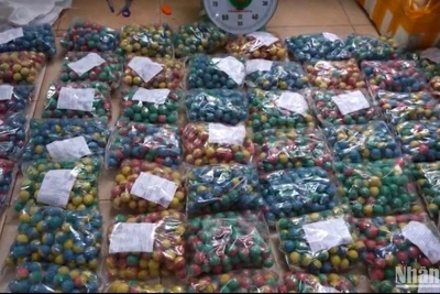 Tang vật là pháo nổ do cơ quan chức năng thu giữ. (Ảnh: Công an cung cấp)