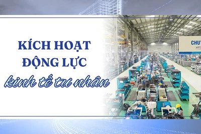 Kích hoạt động lực kinh tế tư nhân 