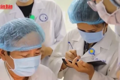 Bộ Giáo dục và Đào tạo công bố quy hoạch giáo dục đại học và giáo dục hoà nhập