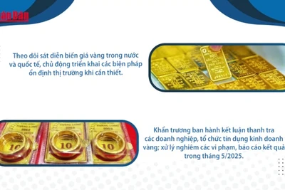 [Video] Thủ tướng chỉ đạo triển khai đồng bộ các giải pháp quản lý thị trường vàng