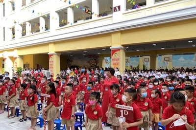 Học sinh tiểu học.