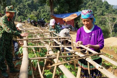 Cán bộ, chiến sĩ Bộ Chỉ huy quân sự tỉnh Bắc Kạn cùng sản xuất với người dân xã Xuân Lạc (Chợ Đồn). (Ảnh QUANG NHẤT)