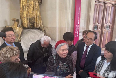 Sau phiên điều trần, bà Trần Tố Nga khẳng định sẽ theo đuổi vụ kiện đến cùng. (Ảnh: KHẢI HOÀN)