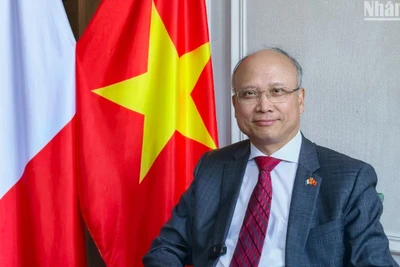 Đại sứ đặc mệnh toàn quyền Việt Nam tại Pháp Đinh Toàn Thắng trả lời phỏng vấn của phóng viên Báo Nhân Dân.