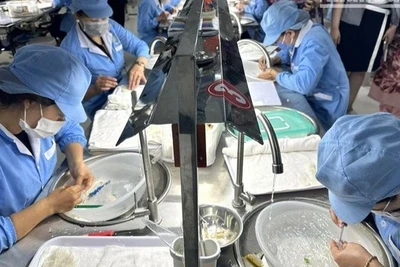 Hơn 4 tấn tổ yến tinh chế cùng hàng triệu sản phẩm tổ yến đã được xuất khẩu chính ngạch vào Trung Quốc, đạt giá trị hơn 4 triệu USD. 