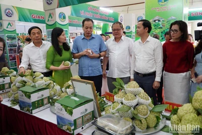 Với quy mô trên 80 gian hàng và 1.000m2 khu trưng bày, bán nông đặc sản vùng miền của các hợp tác xã, doanh nghiệp, hội nông dân đến từ các tỉnh thành.