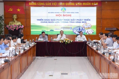 Thúc đẩy chăn nuôi lợn trong tình hình mới